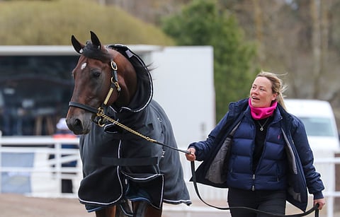 Anu Intosen hoitama Cokstile voitti Yonkers Internationalin New Yorkissa ajalla 10,8a/2011m.