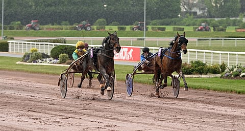 Rapa roiskui, kun Vivid Wise As kiri ohi Etonnantin.