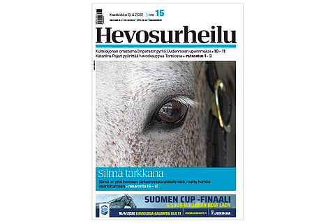 Hevosurheilussa tutustutaan hevosen silmäsairauksiin.