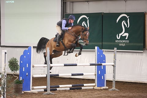Viisivuotias Coco Bongo Beach väläytti hyppykykyä Mikko Mäentaustan satulan alla viimeiseksi lauantai-iltana. 