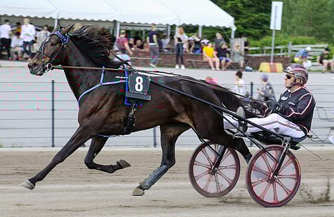 Hietakankaiden pitkäaikainen yhteistyökumppani Markku Nieminen valmensi Betty Roofia koko sen uran ajan.