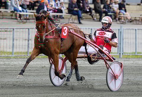 Hannu Korven Super Topaz on oiva ideavarma jackpotin maustamaan Toto64-peliin.