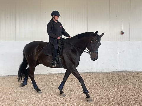 Fabriano Sil on 186-senttinen lempeä jätti.