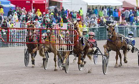 Ohjastajat pitävät autolähdöissä radasta kaksi, mutta pitkällä aikavälillä rata viisi tuottaa eniten voittoja.