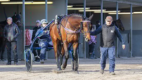 Riina Rekilän, hoitaja  Graziano Baronen ja Tetrick Wanian tiet eivät sittenkään vielä eronneet.