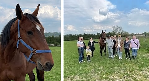 Joldy Love on näyttävä hevonen, joten ihmekös, että tuoreet osaomistajat poseeraavat sen rinnalla tyytyväisenä.