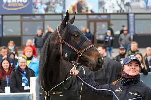 Deangelo on Etta Pakkasen elämän hevosia.