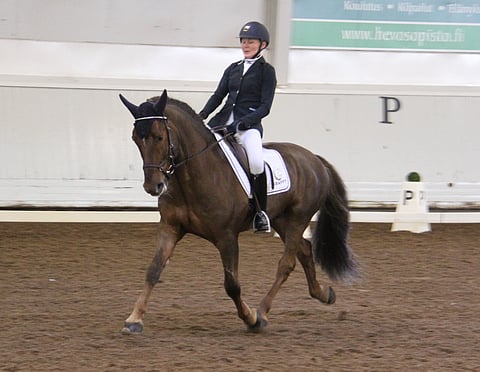 Rodrik ja Laura Porthan.