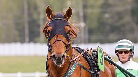 Lissun Eerikin kaudenavaus viivästyy, Pekka Luukkonen kertoo.