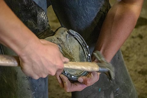 Kengär jalkaan neljäksi kuukaudeksi.