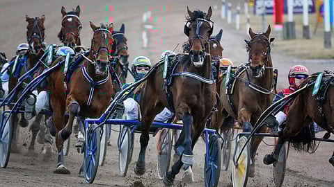 Hevospelaamisen tulevaisuus on lisenssimarkkinassa.