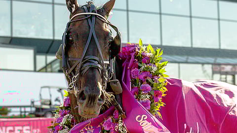 Don Fanucci Zet joutuu Finlandia-ajossa haalarihommiin.