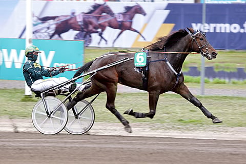 Skyfall Shine rattaillaan Hannu Torvinen.