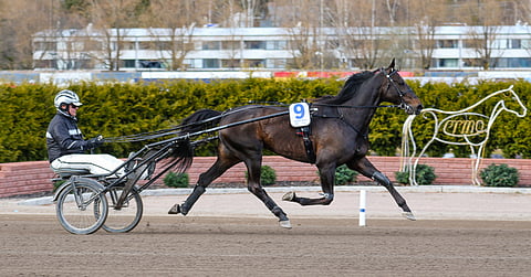 Jerry Riordan lämmitti Gareth Bokon Finlandia-ajoon, jossa se sijoittui kolmanneksi.