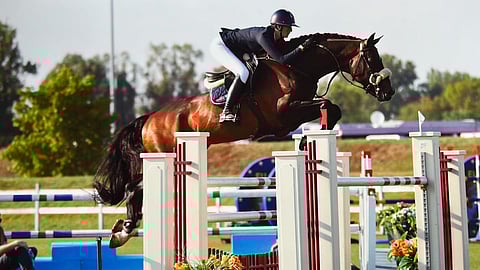 Jasmin Seppälän ja Captainin yhteinen ura on vielä lyhyt, mutta ratsukko on sulautunut hyvin yhteen.