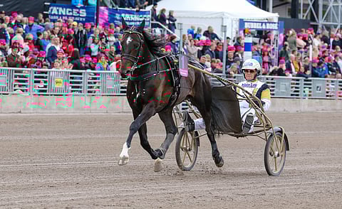 Önas Prince menestyi loistavasti ikäluokkalähdöissä.