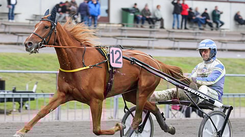 Grande Dragon on ideavihjeen tukipilari. Killerillä raudikkotamman ohjissa on Jukka Torvinen, kuvassa Esa Holopainen.