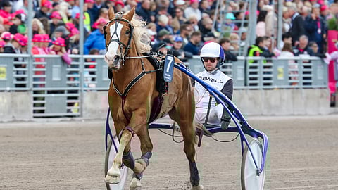 Stallonen ennätys 18,9aly on peräisin toissa vuoden Suurmestaruusajosta.