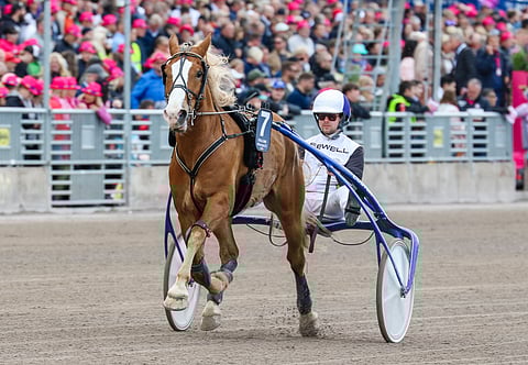 Stallone aloittaa Ruunaruhtinuuden voiton puolustamisen parhaalla mahdollisella tavalla.