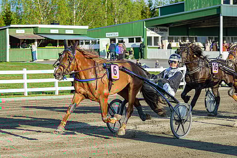 Heikki Mikkosen ohjastama ja valmentama Hipsun Poju teki kirissään tarvittavan eron muihin ja voitti varmasti. Voitto oli oriin uran kymmenes.