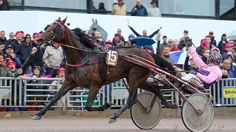 Diable de Vauvert voittaa Harper Hanoverin ja Gabriele Gelormini tuulettaa. 