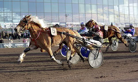 Suven Sametti torjui vahvasti kirineen M.A. Pisteen loppuun asti. Layla (11) tuli kisassa kolmanneksi.