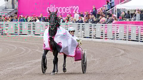 Don Fanucci Zet on jo kertaalleen onnistunut voittamaan Elitloppetin.