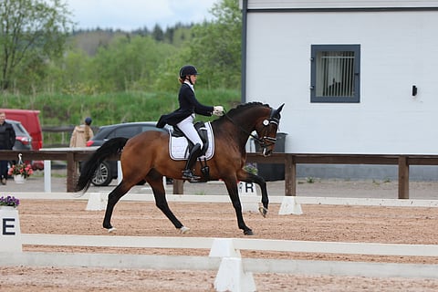 Essi Hiidensalo ja Linzano. 