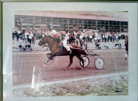 Valokuva Olavi Inkisen rodeosta Pomin selässä oli pitkään esillä Porin raviradalla.