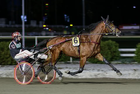 Imperator kilpaili 3-vuotiskauteen asti Johan Untersteinerin valmennuksessa ja kävi Teivon Kriterium-karsinnoissakin.