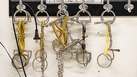 Tukes selvittää kuolainten turvallisuutta.