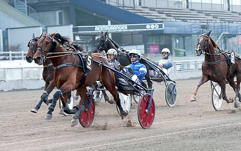 Manny Muscle voitti viime vuoden maaliskuussa Margareta-sarjan nelivuotislähdön Solvallassa Erik Adielssonin ohjastamana.