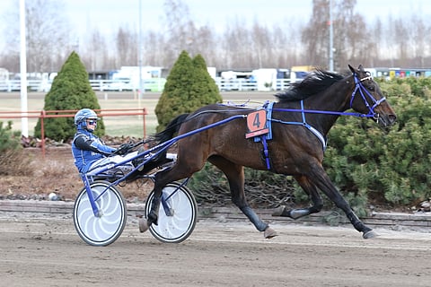 Henna Halme ajoi Sahara Peyoten voittoon Porin avoimessa kisassa.