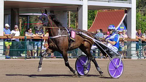 Quick Vald voitti viime kaudella seitsemän kertaa, viimeksi juhannuksena Härmässä.