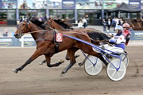 EL Kickoff aloitti uransa huimalla suorituksella. Toiseksi jääneen Callela Ladybirdinkin suoritus oli mainio.