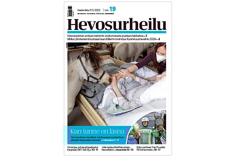 Miniatyyrihevoset tuovat iloa hoitokotiin.