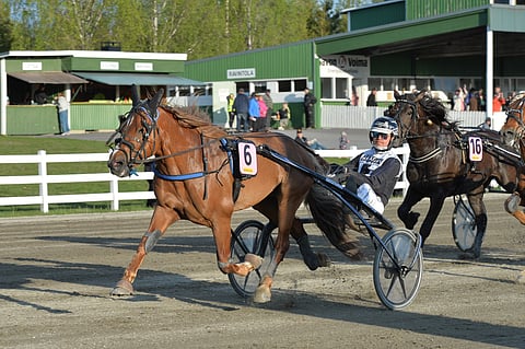 Heikki Mikkosen tallin Hipsun Poju jatkaa nousuaan ykköstasolle.
