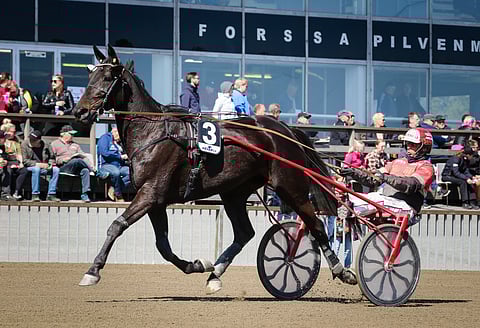 Tapio Perttunen ja Club Nord Elit lähtevät kirkastamaan muutaman vuoden takaista Tammaeliitin nelossijaa.