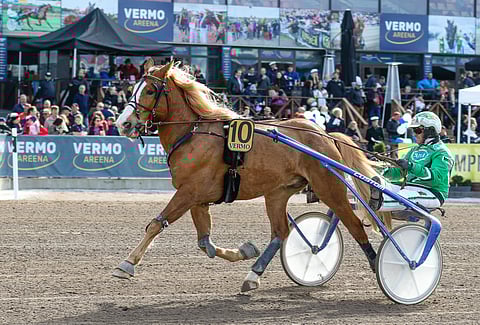 Stallone kisaa Elitkampenissa, mutta kuskia ei ole vielä päätetty. Aiemmin ruunan rattailla nähtiin usein Iikka Nurmonen, mutta hänen vietettyä talven Ruotsissa, on Stallonea ohjastanut kotimaan lähdöissä Ari Moilanen (kuvassa).
