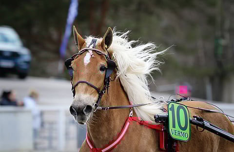 Suven Sametti on Toto65-kierroksen todennäköisin voittaja.