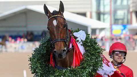 Imhatra Am ja Mats E Djuse. Fyraåringseliten Ston -lähdön ykköset.