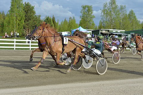 Siirin Liisi (1) oli Hannu Torvisen ajamana paras Toto75-pelin avauksessa.