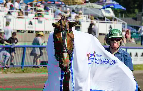 Viesmanni oli aiemmin kuvassa ohjissa olevan Raineri Puikkosen valmennuksessa. Helatorstaina ori tekee toisen starttinsa Jouni Miettisen tallista.