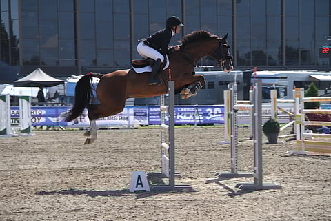 Jansen ja Hamont Seinäjoella SM-kilpailuissa 2021.