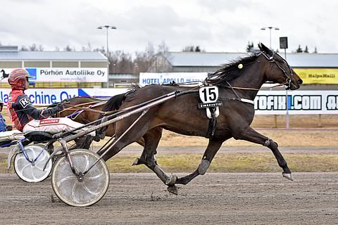 Endless Story ehti maaliviivalla ykköseksi.