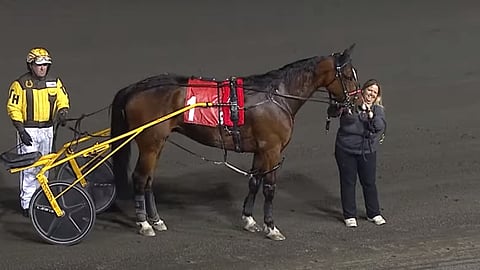 Oney Hall on tottunut voittoseremonioihin. Tämä oli jo vuoden kuudes voittajakuva Woodbinessa.