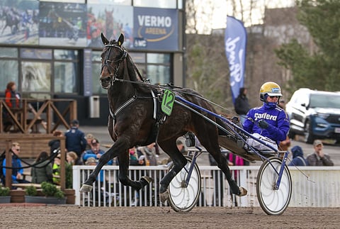 Kurri Jari Boko kilpaili Vermossa Finlandia-viikonloppuna Björn Goopin ohjastamana. Ensi lauantaina Veijo Heiskanen hoitaa valmennettavansa ohjastuksen itse.