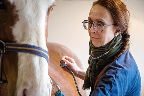 Kati Tuomola on kommentoinut kuolainasioita ruotsalaiseen päivämediaan ja on mukana myös kirjeessä, jonka tiedemiehet lähettivät FEI:lle. 