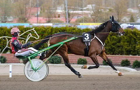 Bosse Nice on voittanut uransa 21 kisasta peräti 15.