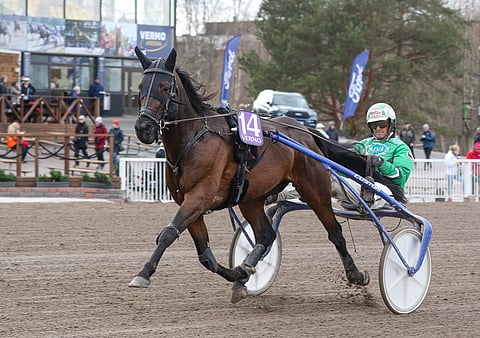Martin De Bos on yksi jackpot-kierroksen täysin unohdetuista pelihevosista.